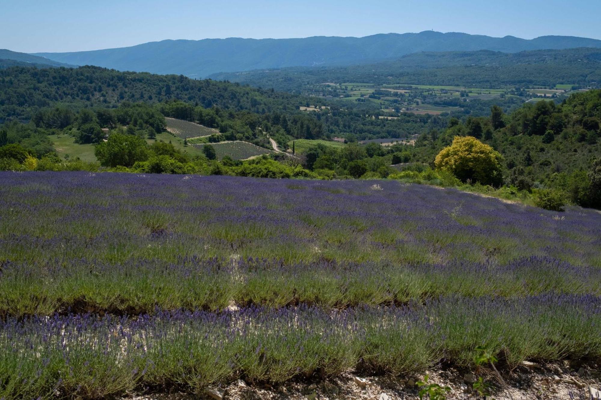 Maison De Campagne La Teranga Au Coeur Du Luberon 압트 외부 사진